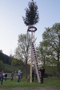 Maibaum stellen 2022 in Reinerzau - Bild 3 der Serie