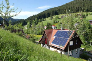 Alpirsbach (Reinerzau) - Ferienhaus Wein