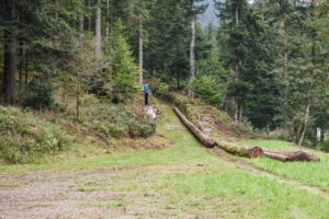 Alpirsbach (Reinerzau) - Handbehauene Sandsteine begrenzen den Riesverlauf