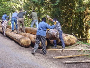 Eröffnung der Schauriese 2009 - Das Reinerzauer Riesteam bei der Arbeit