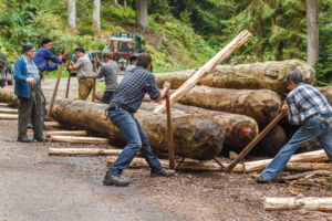 Reinerzau Riesfest 2016 - Stamm wird fürs Riesen in Position gebracht