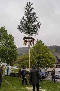 Alpirsbach (Reinerzau) - Maifest 2014