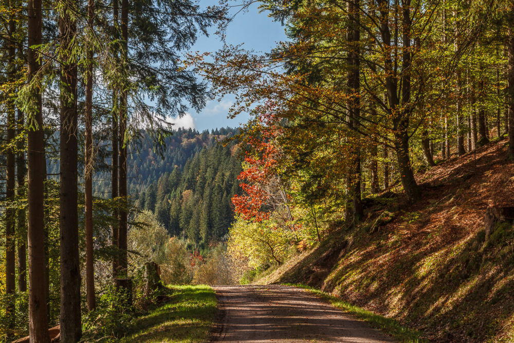 Wanderweg um den Stausse Kleine Kinzig