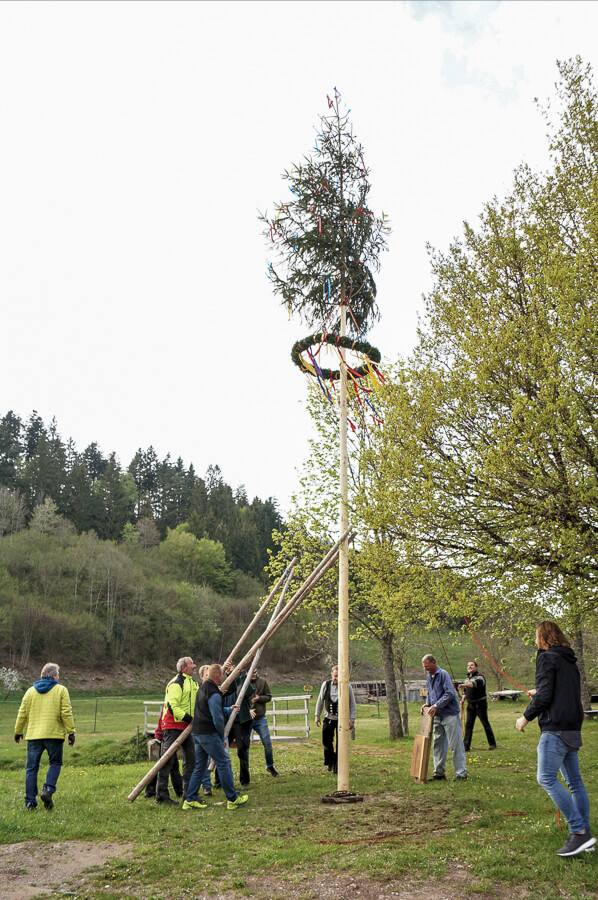 Maifest mit Maibaum stellen in Reinerzau 2019